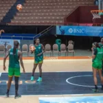 Préparation Afrobasket 2025 : le groupe des lionnes réduit à 17